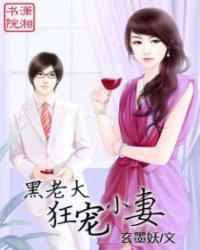 黑老大狂宠小妻